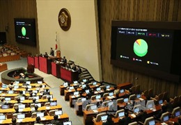 Giới kinh doanh Hàn Quốc kêu gọi Quốc hội phê chuẩn FTA với Việt Nam